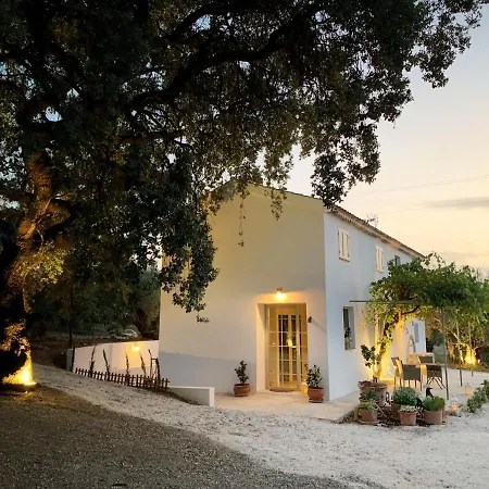 Syvyle Holiday home *